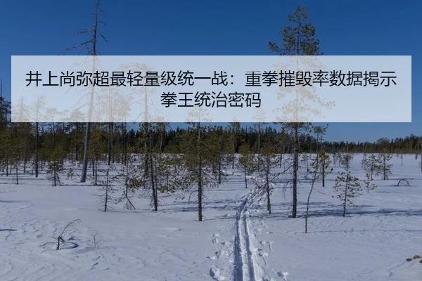 井上尚弥超最轻量级统一战：重拳摧毁率数据揭示拳王统治密码